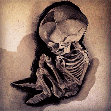 Kevin Llewellyn, Foetal Skeleton