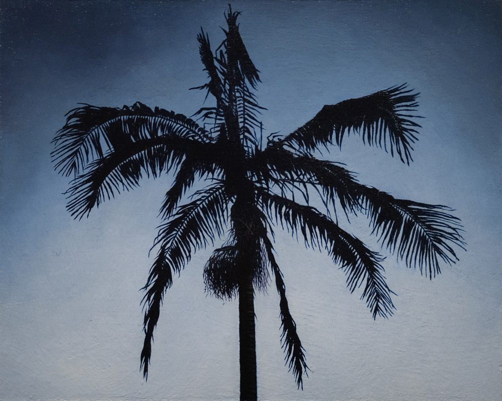 Andrew Shears, Palm Dream