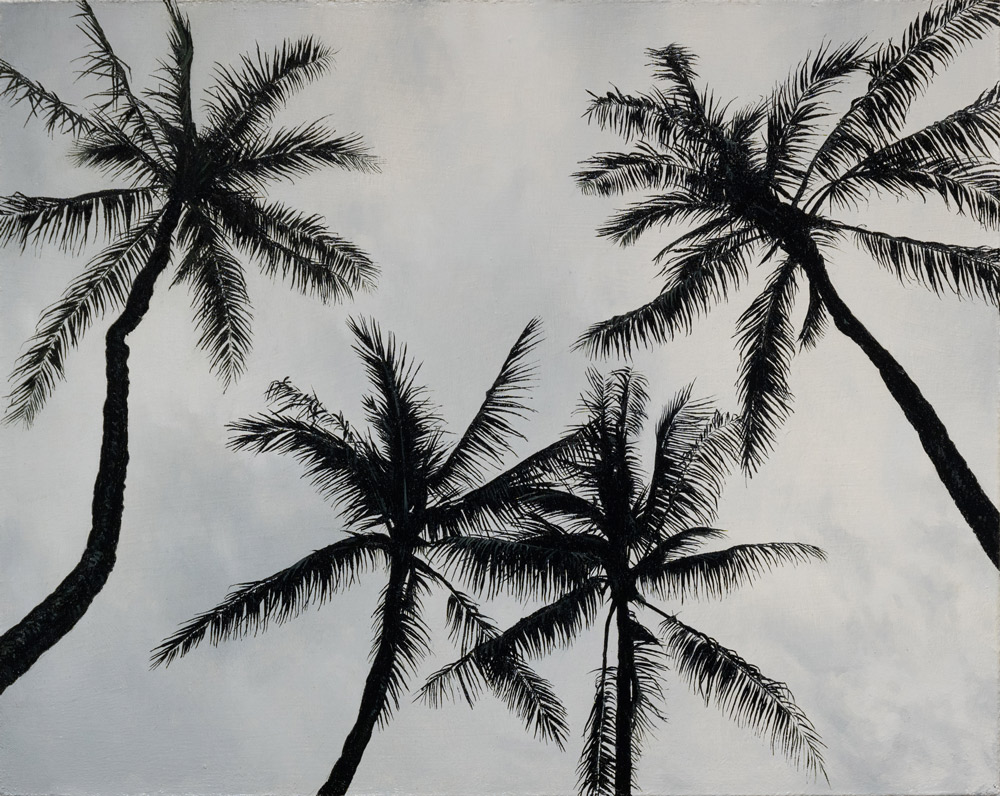 Andrew Shears, Palms