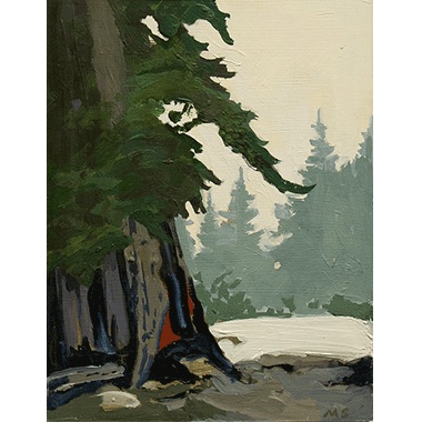 Michael Scott, Sweeping Pine, Fog Snow