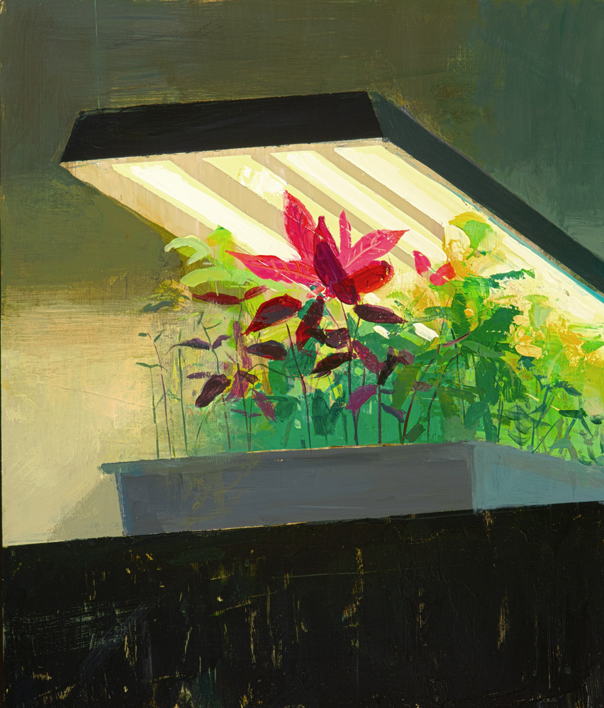 Jeremy Miranda | Evoke Contemporary